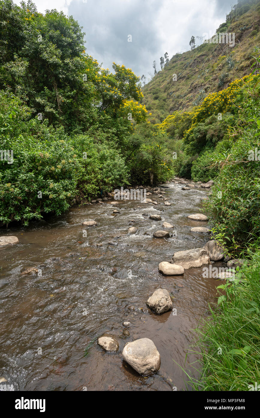 Rio Guambi River Canyon, Tababela (Quito), Ecuador. Stockfoto