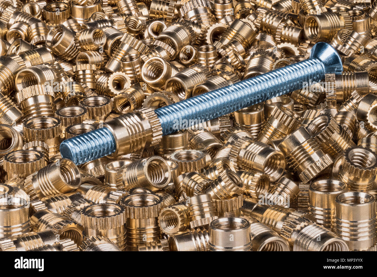 Bronze Gewindeeinsätze und Senkkopfschrauben Schraube. Nahaufnahme einer langen silbrig-blaue Schraube auf Textur aus goldenen Metall Gewindebuchsen. Stockfoto