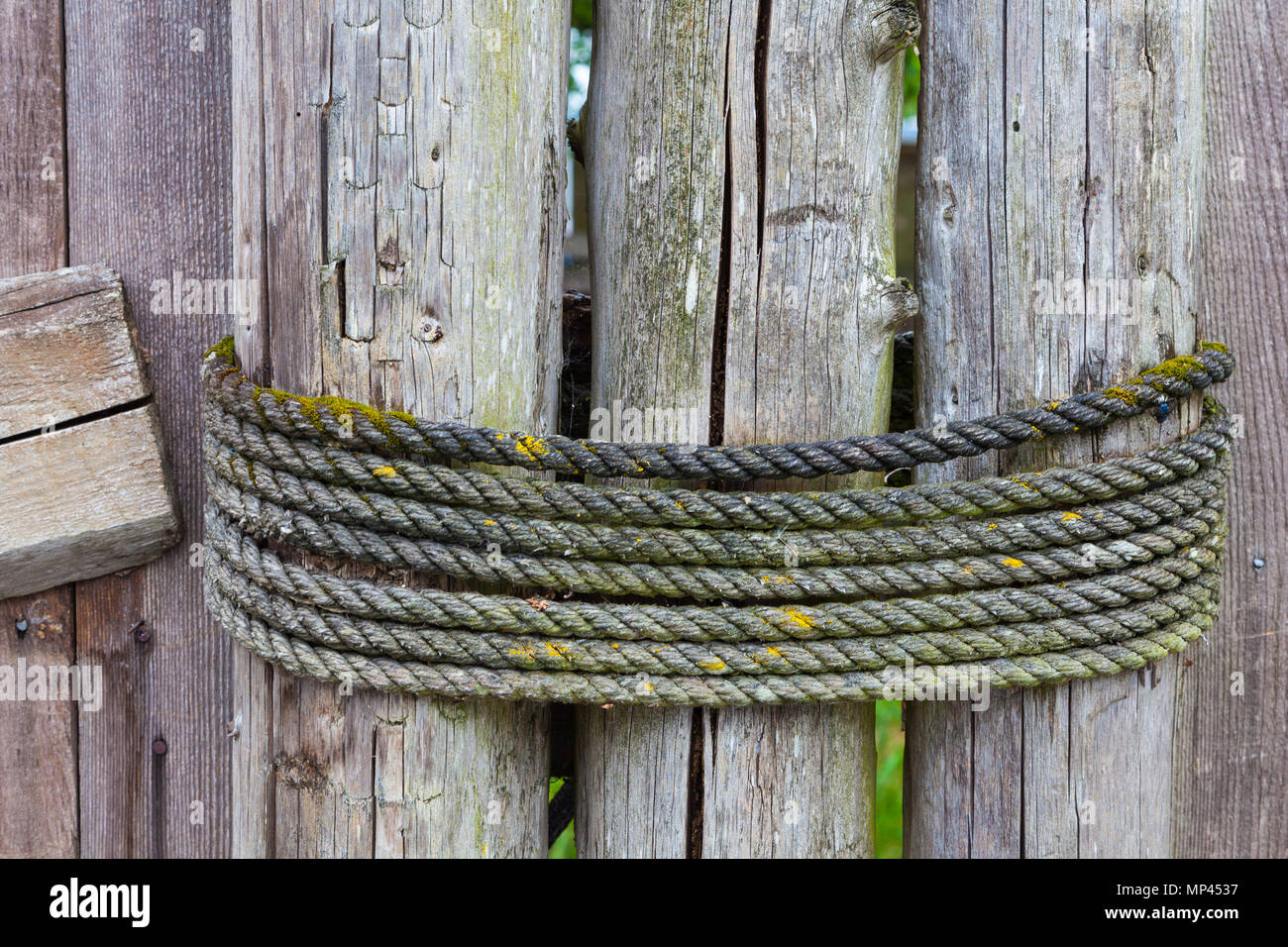 Drei Zaunpfosten zusammen mit Seil an einem Haus in Steveston gebunden, British Columbia. Stockfoto