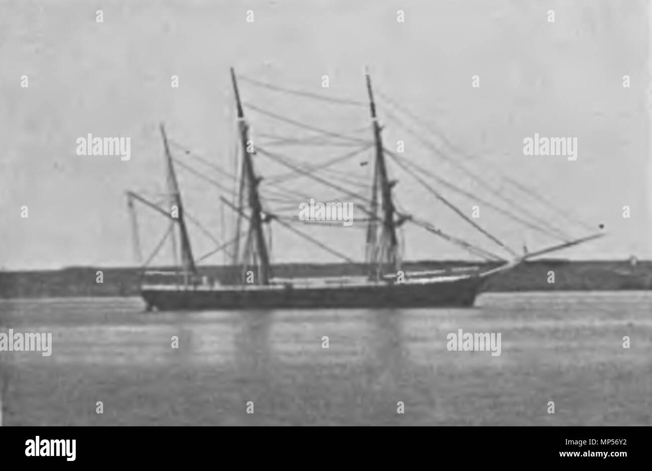 1298 Корвет Львица Stockfoto