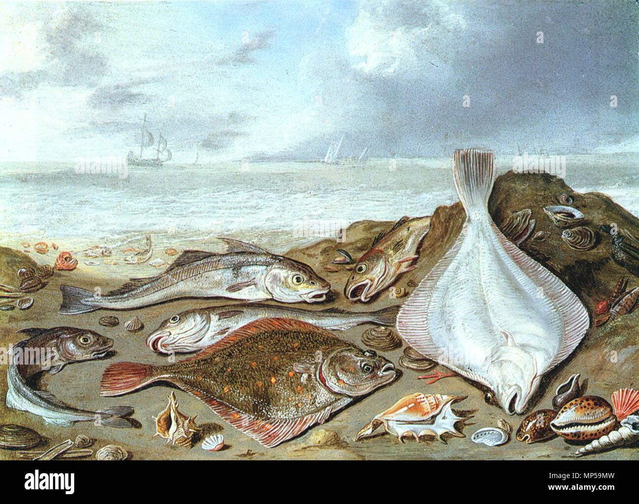 Nature morte de poissons au Bord d'un Rivage. 704 Jan Van Kessel004 Stockfoto