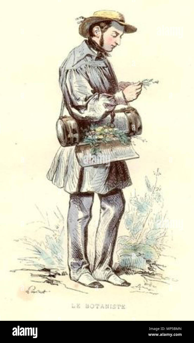 . Français: Le Botaniste (Lithographie, dessinateur Verdeil Pauquet, graveur) Les Français peints par eux-mêmes, Tome 4, Paris, Curmer, 1841, [s. 305]. 1841. Hippolyte Louis Emile Pauquet (1797-?) 967 Pauquet Botaniste Stockfoto