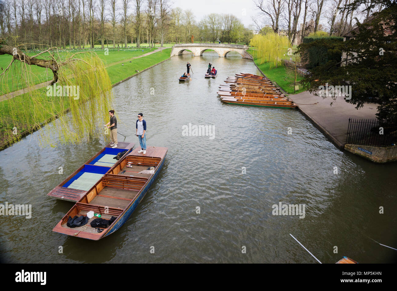 Stocherkahnfahrt in Cam Fluss, Cambridge, Vereinigtes Königreich Stockfoto