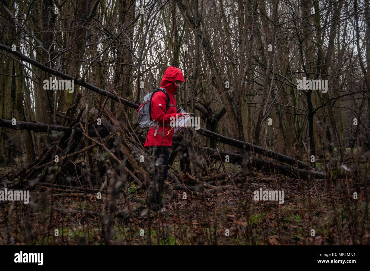 Walker im Wald mit Kompass weg zu finden Stockfoto