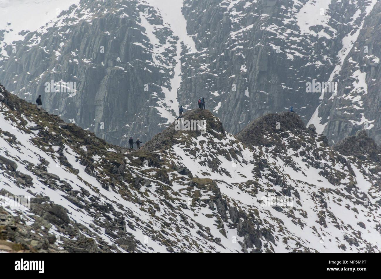 Schreitenden Kante bis zum Helvellyn, Cumbria, Großbritannien. Stockfoto