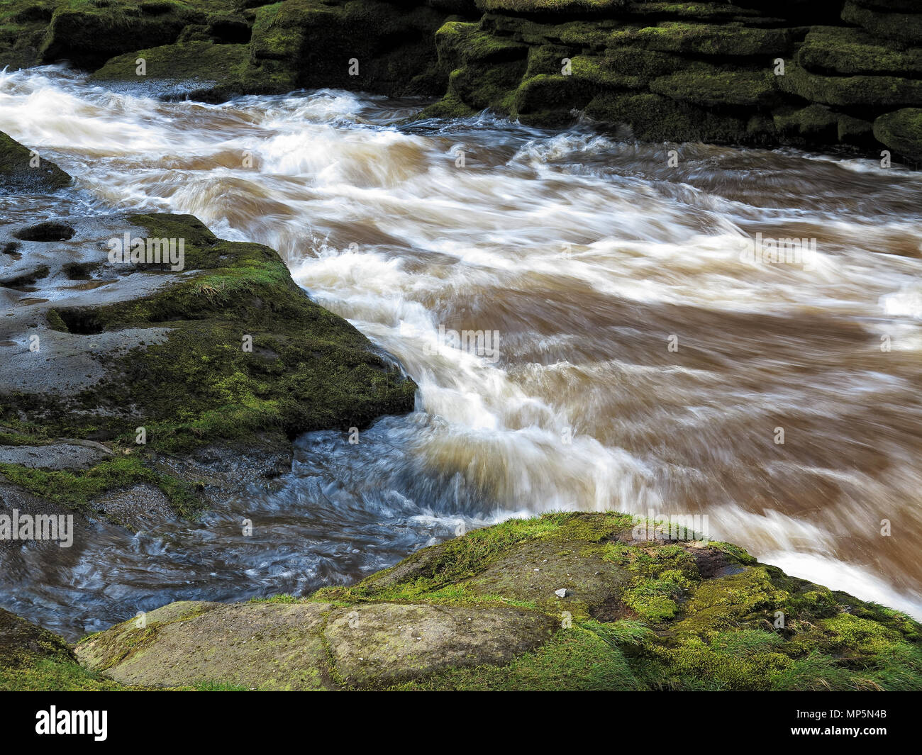 Die wirbelnden Wasser des Strid, in der Nähe von Bolton Abbey, Yorkshire Dales Stockfoto