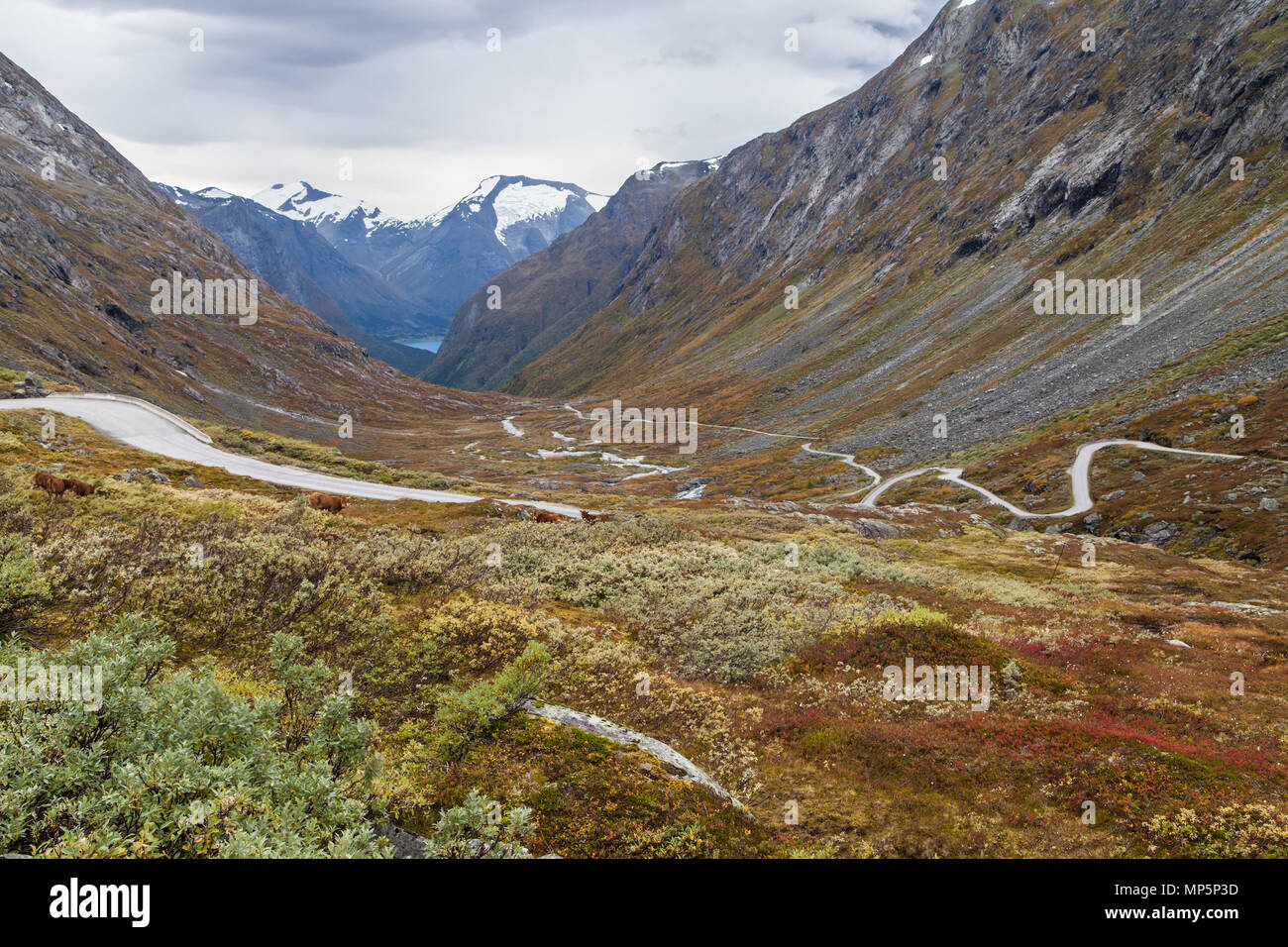 Gamle Strynefjellsvegen nationalen touristischen Straße aufsteigend die Videfossen Tal, Norwegen. Stockfoto