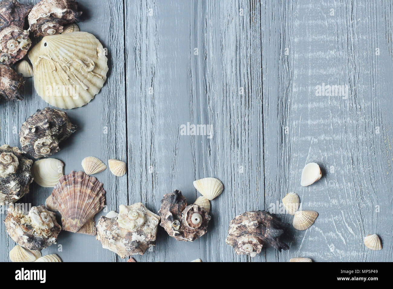 Original einen Rahmen für den Text der Muscheln auf Blau Holz- Hintergrund Stockfoto