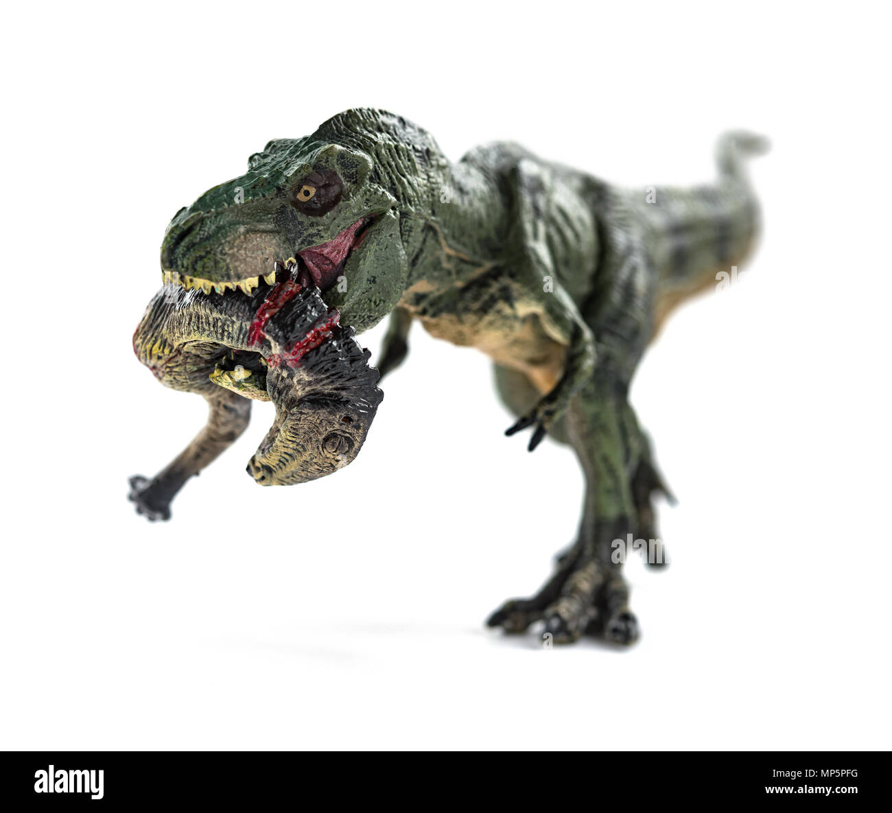 Tyrannosaurus beißen ein Dinosaurier Körper mit Blut auf weißem Hintergrund Stockfoto