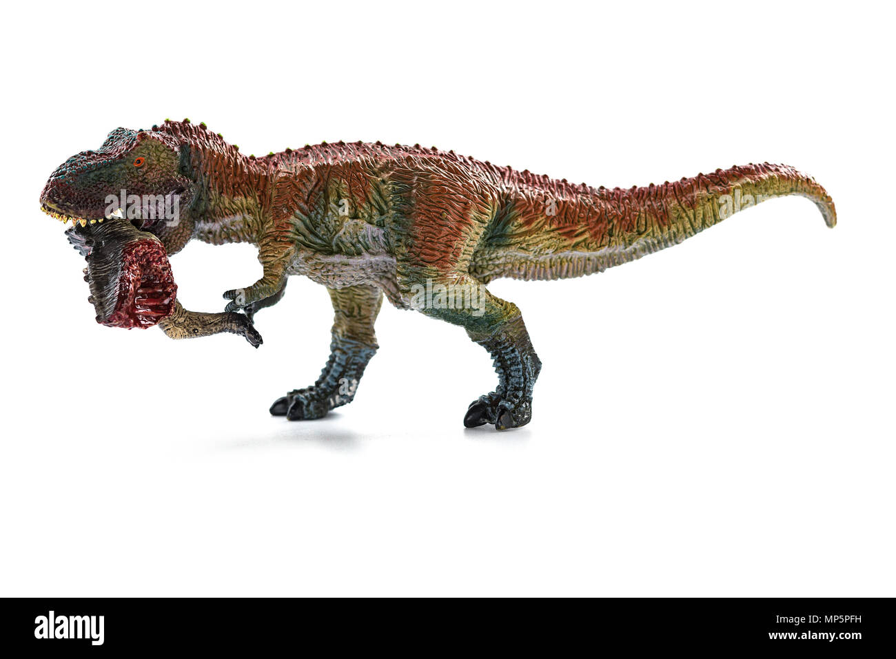 Tyrannosaurus beißen ein Dinosaurier Körper mit Blut auf weißem Hintergrund Stockfoto