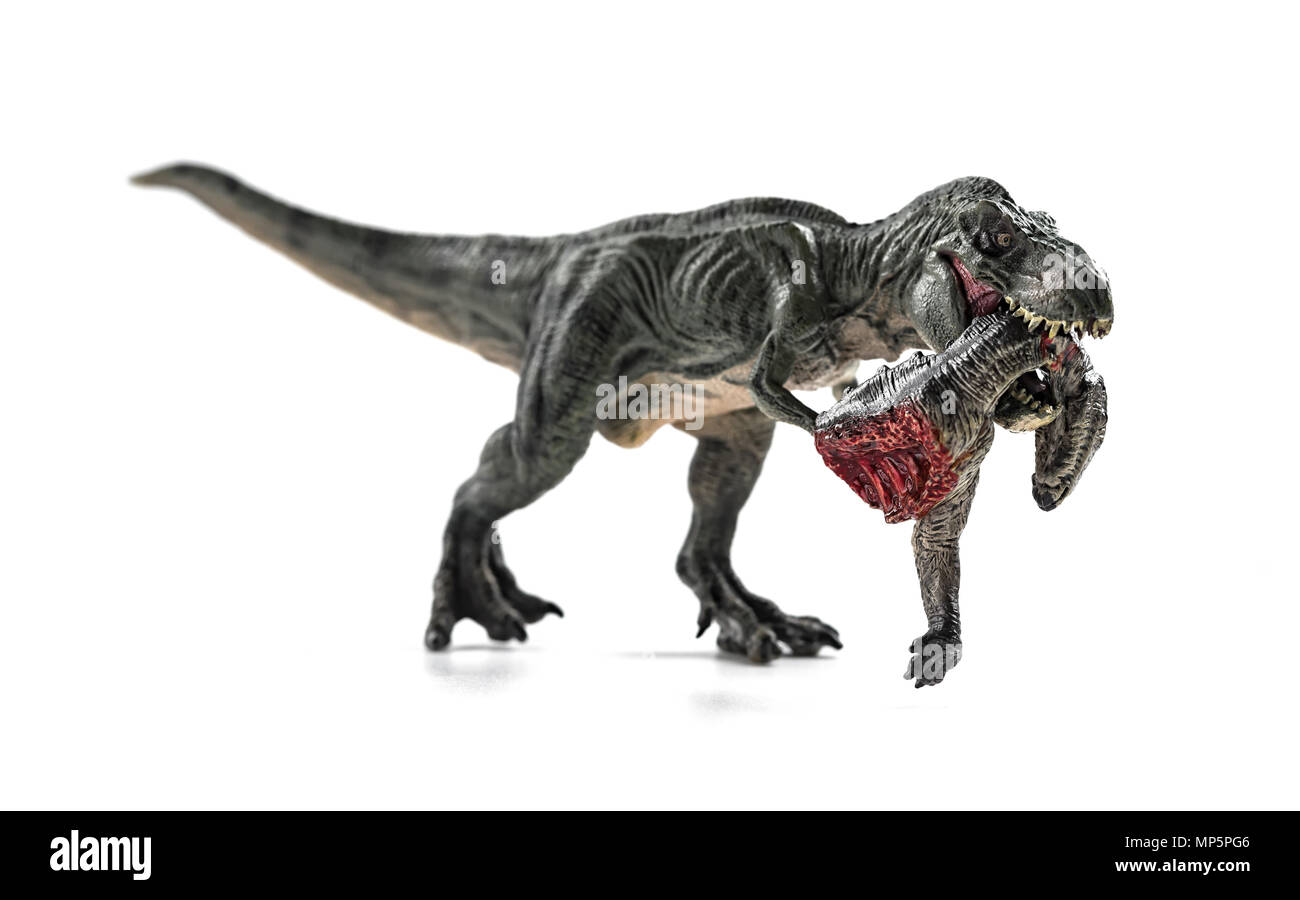 Tyrannosaurus beißen ein Dinosaurier Körper mit Blut auf weißem Hintergrund Stockfoto