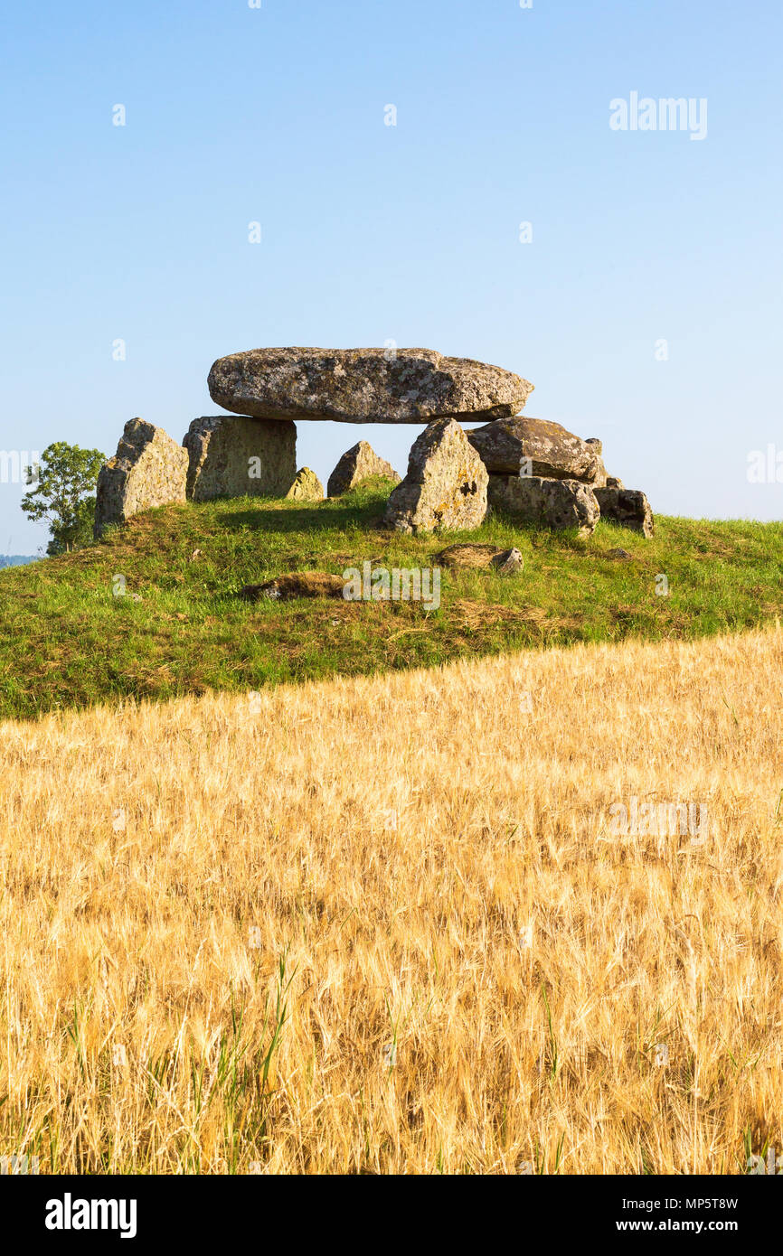 Megalith Grab auf einem Hügel in der Landschaft Stockfoto