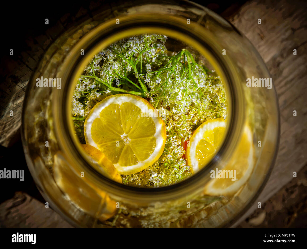 Elder Blumen und frischen Zitronenscheiben für Sirup im Becher. Stockfoto