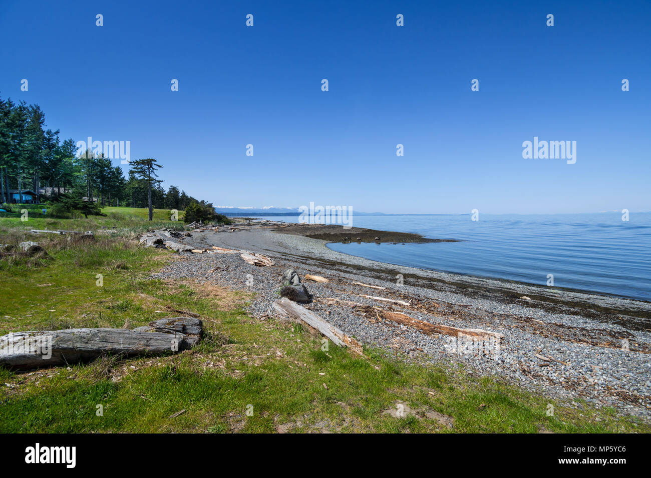 Shoreline, Hornby Island, BC, Kanada. Stockfoto