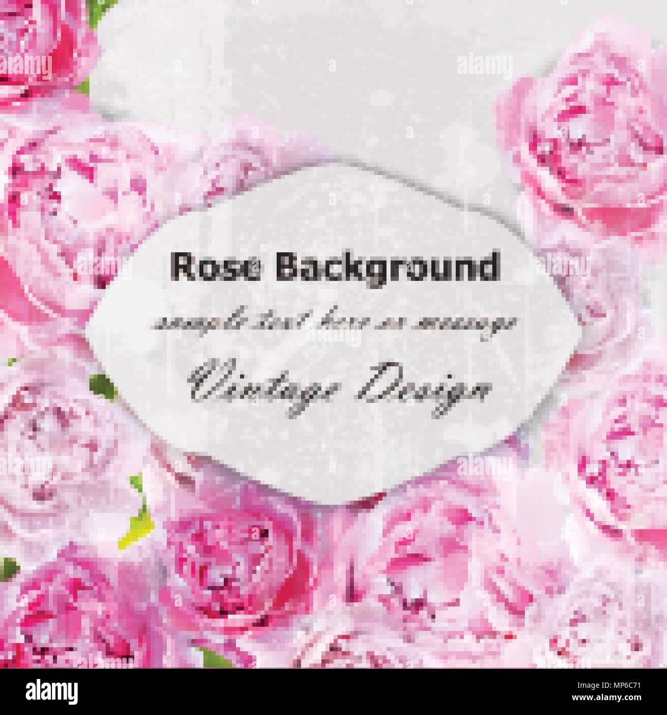 Pfingstrose blumen Grußkarte Vektor. Rosa Blumen Dekor. Frühling Sommer Hintergrund Stock Vektor