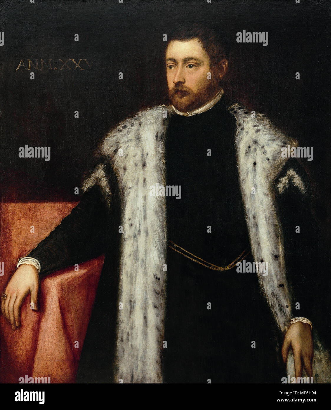 Fünfundzwanzig Jahre alten mit Fell gefüttert Fell * Öl auf Leinwand * 117 x 100 cm * ca. 1550-1560 1194 Tintoretto - Joven de veinticinco años con pelliza Stockfoto