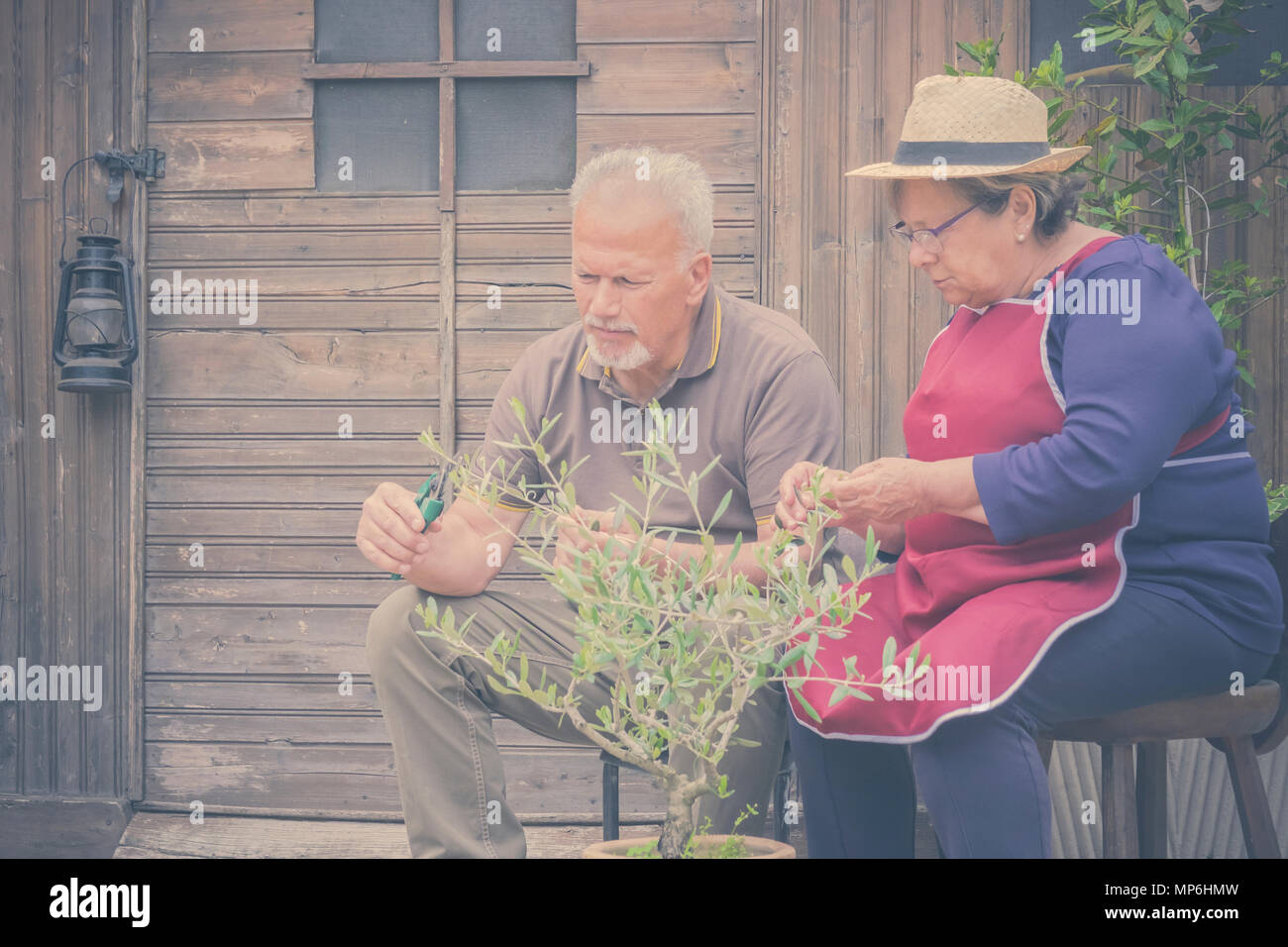 Ältere ältere Paare in der Landschaft wie Home Farm arbeiten zusammen, mit Pflanzen, Schneiden und setzen sie instand. Familie Konzept des Lebens für immer zusammen mit l Stockfoto