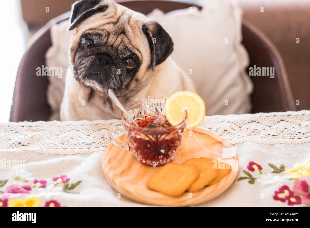 kaffee-zeit-zu-hause-am-nachmittag-fur-e