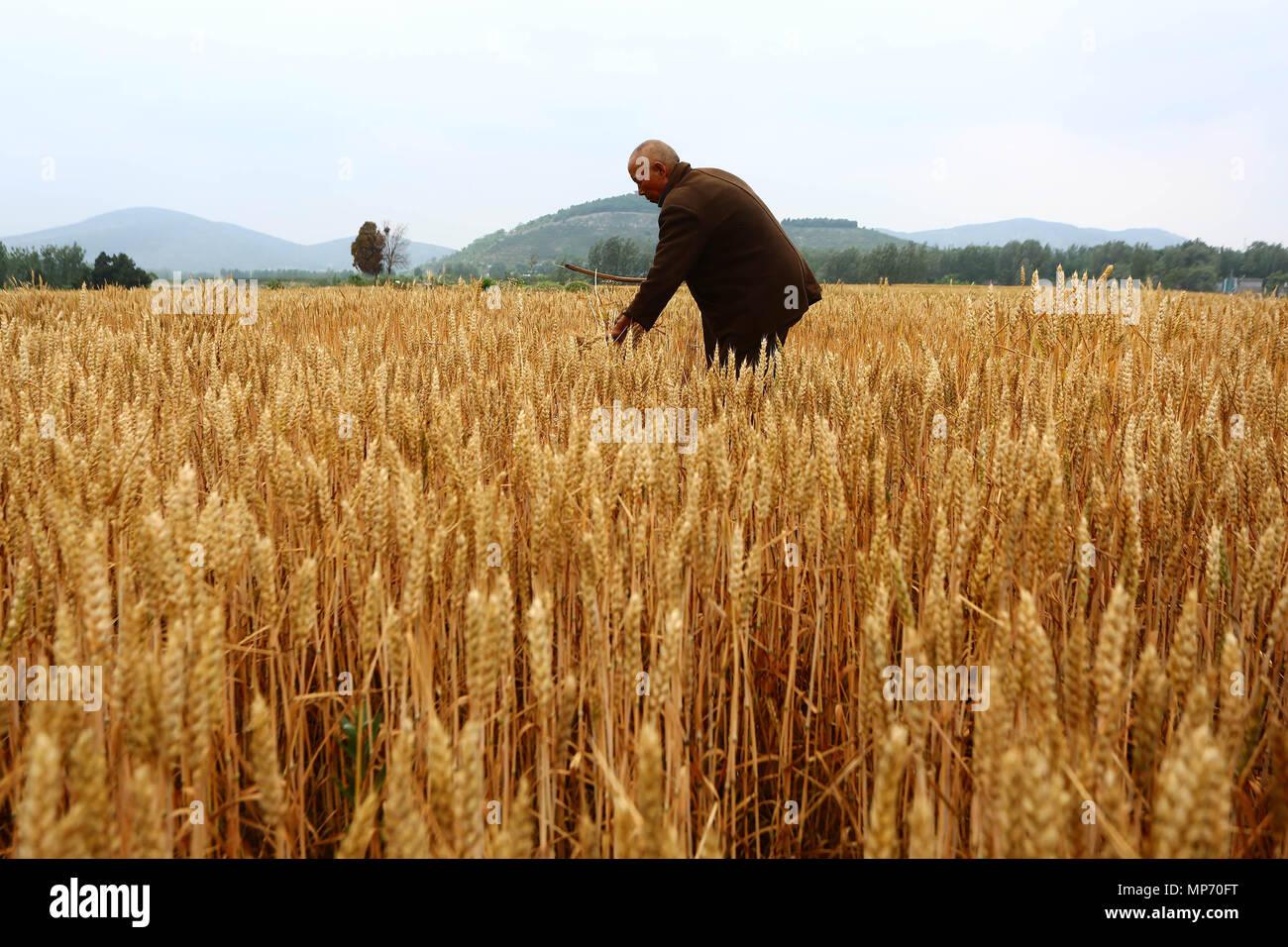 Zaozhuan, Zaozhuan, China. 21 Mai, 2018. Zaozhuang, China, 21. Mai 2018