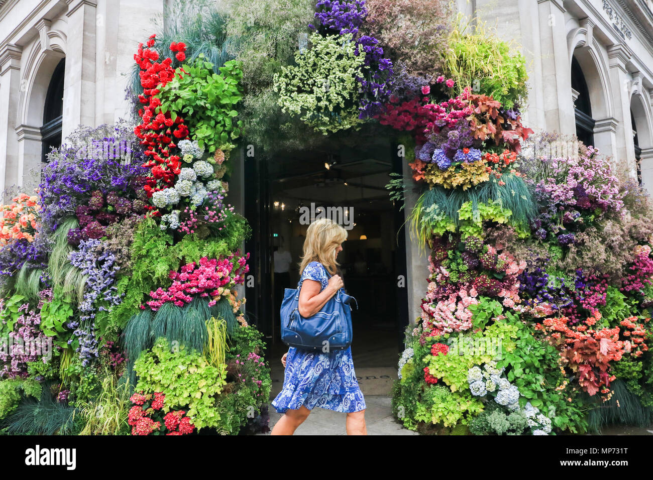 London, Großbritannien. 21. Mai 2018. Geschäfte im Sloane Square sind mit Blumenschmuck kann als Teil der Chelsea in der Blüte der Jahre mit diesem Thema "Sommer der Liebe", das eine florale Kunst zeigen in Verbindung mit der RHS Royal Horticultural Society von 21-26 während der Chelsea Flower Show Credit produziert verwandelt: Amer ghazzal/Alamy leben Nachrichten Stockfoto
