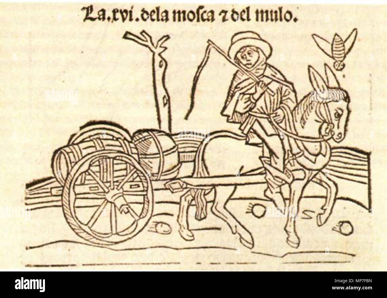 . Isopete. 1482. Pablo Hurus, Zaragoza 677 Isopete Stockfoto