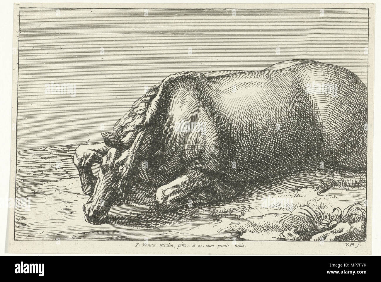 Englisch: getötet Pferd von der linken Seite zwischen 1674 und 1733 gesehen. 704 Jan van Huchtenburg, Adam Frans van der Meulen - getötete Pferd von der linken Seite aus gesehen Stockfoto