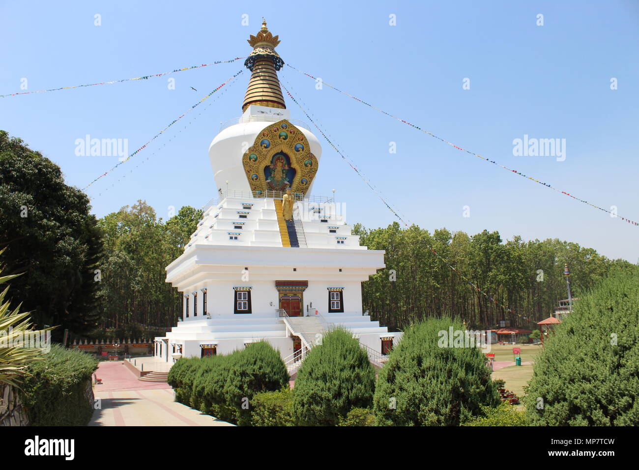 Tibetisch-buddhistischen Tempel Dehradun. Einer der bekanntesten Tempel in Dehradun ist der Buddha Tempel in Clement Stadt. Stockfoto