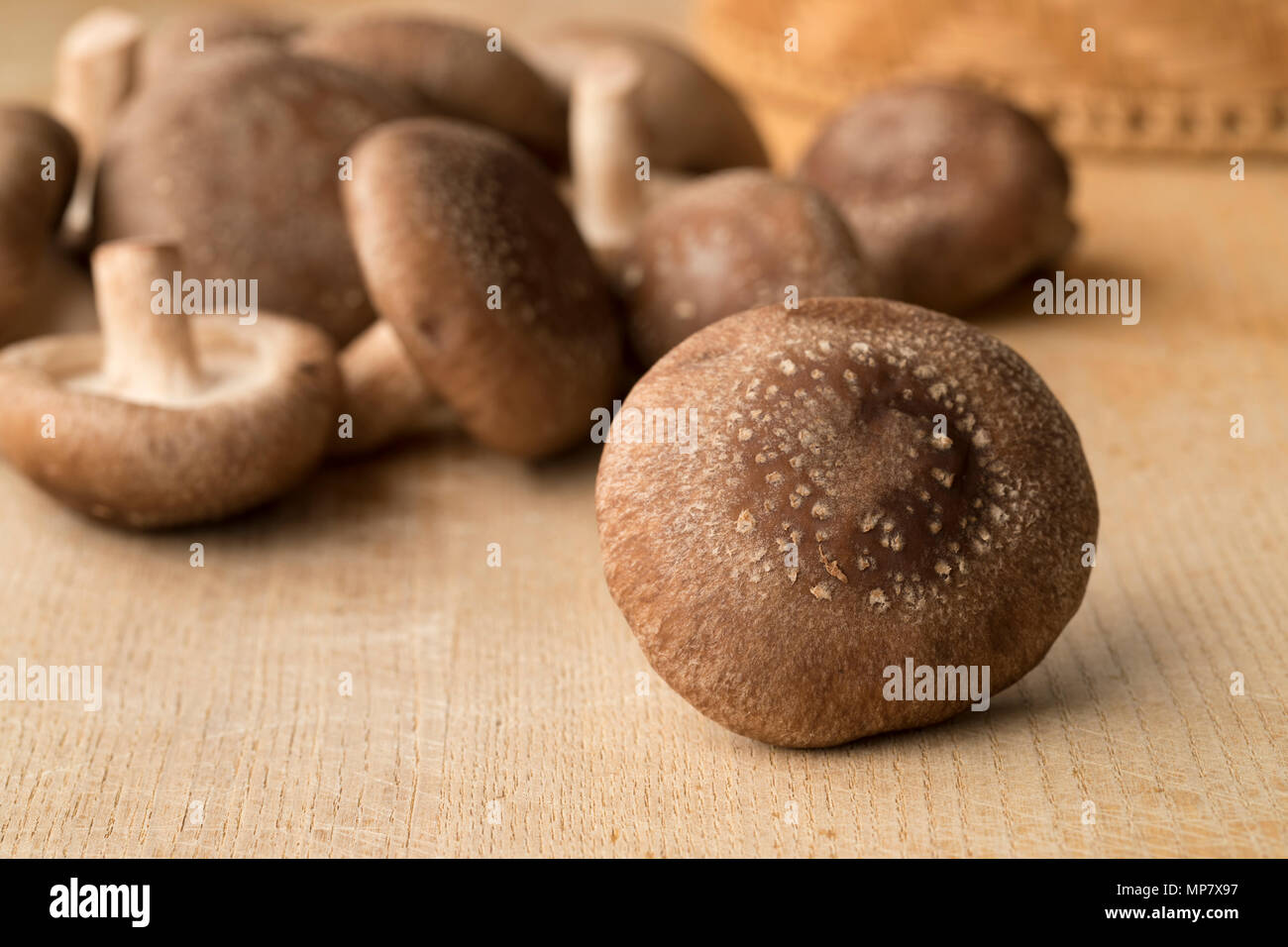 Haufen von frischen, rohen Shiitake-pilze Nahaufnahme Stockfoto