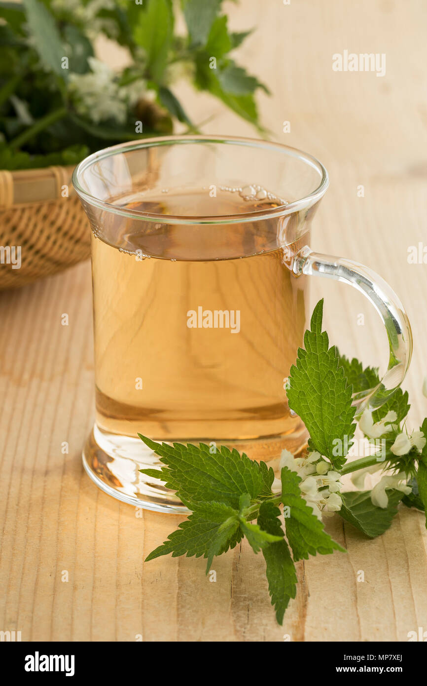 Glas frischen gesunden weissen tot Brennnessel Tee mit Blumen dekoriert Stockfoto