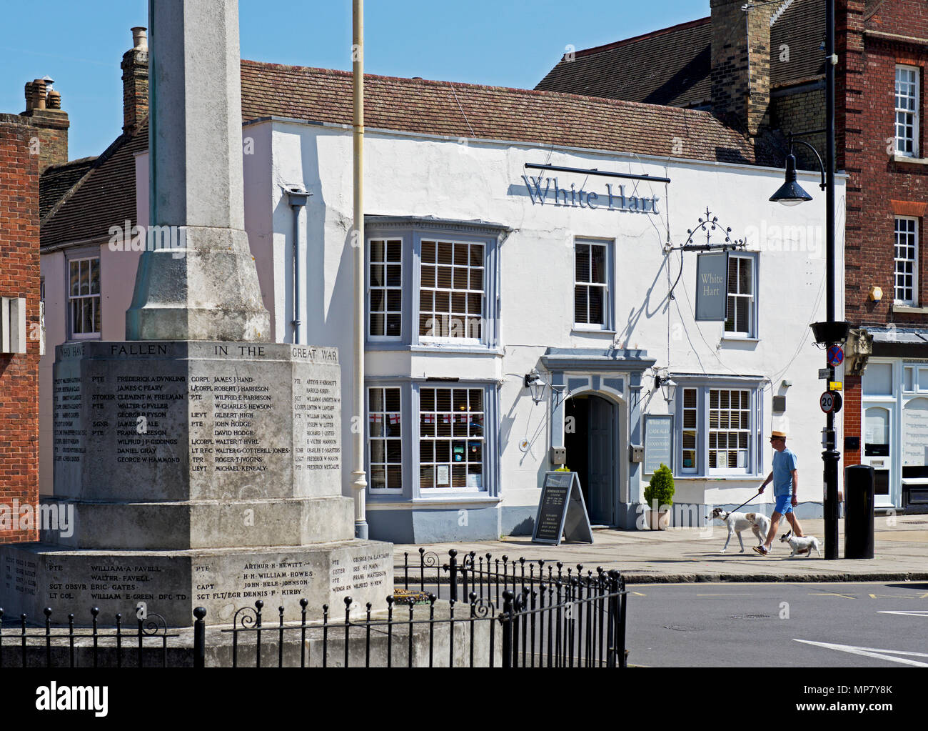 Mann, mit Hunden, wandern vorbei an der White Hart Pub in St Ives, Cambridgeshire, England, Großbritannien Stockfoto