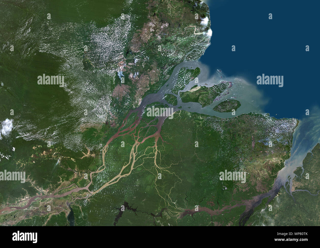 Amazon Delta, Brasilien Stockfoto