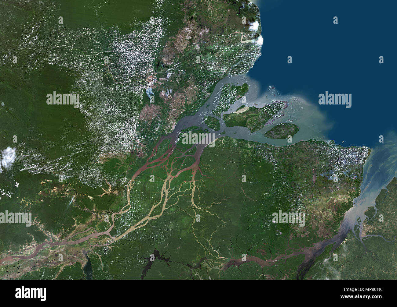 Amazon Delta Brasilien Stockfotografie Alamy