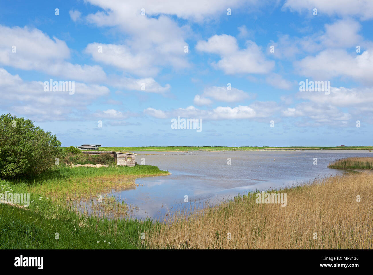 Titchwell, ein RSPB Nature Reserve, North Norfolk, England Großbritannien Stockfoto