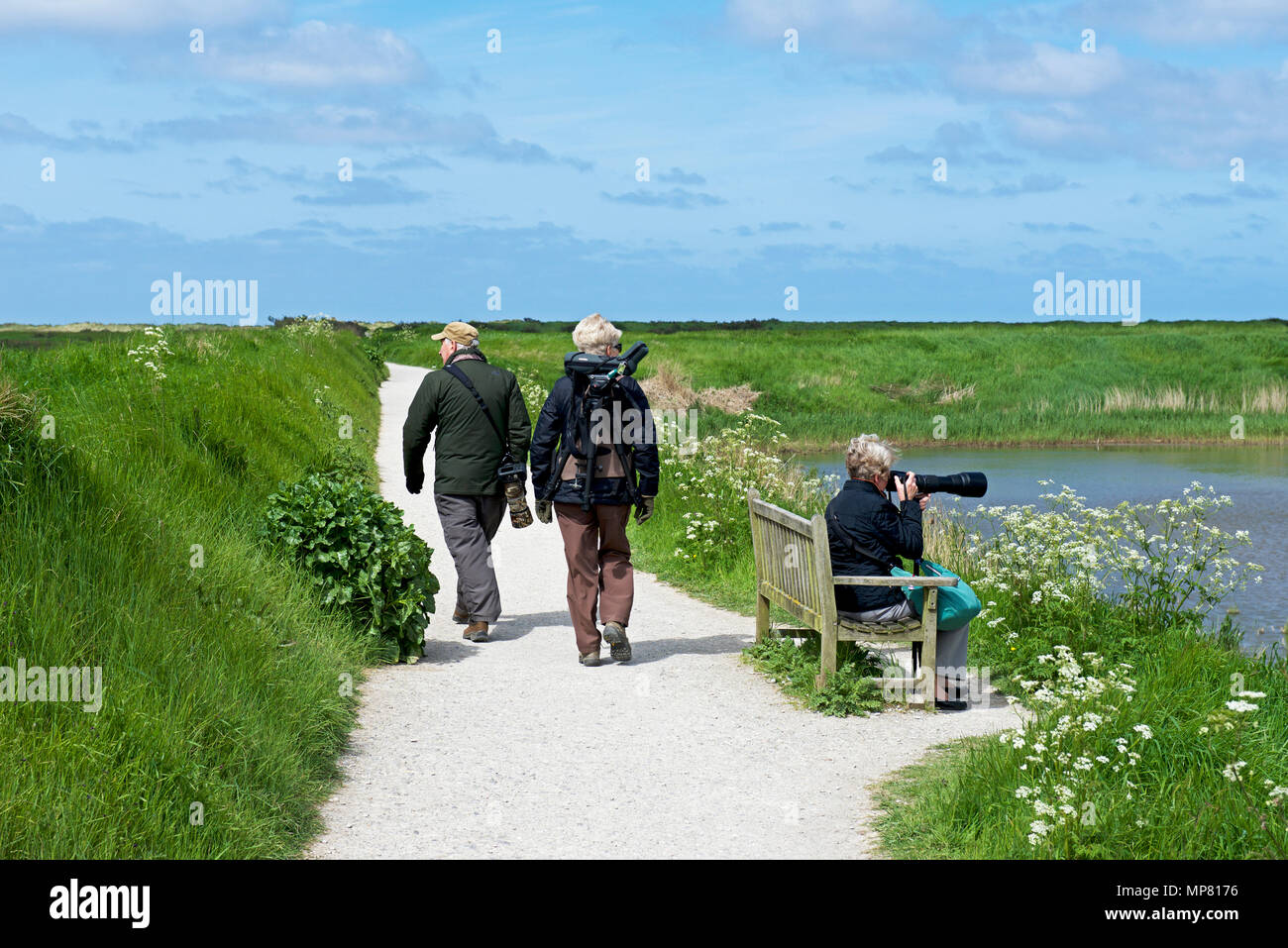 Vogelbeobachter am Titchwell, ein RSPB Nature Reserve, North Norfolk, England Großbritannien Stockfoto