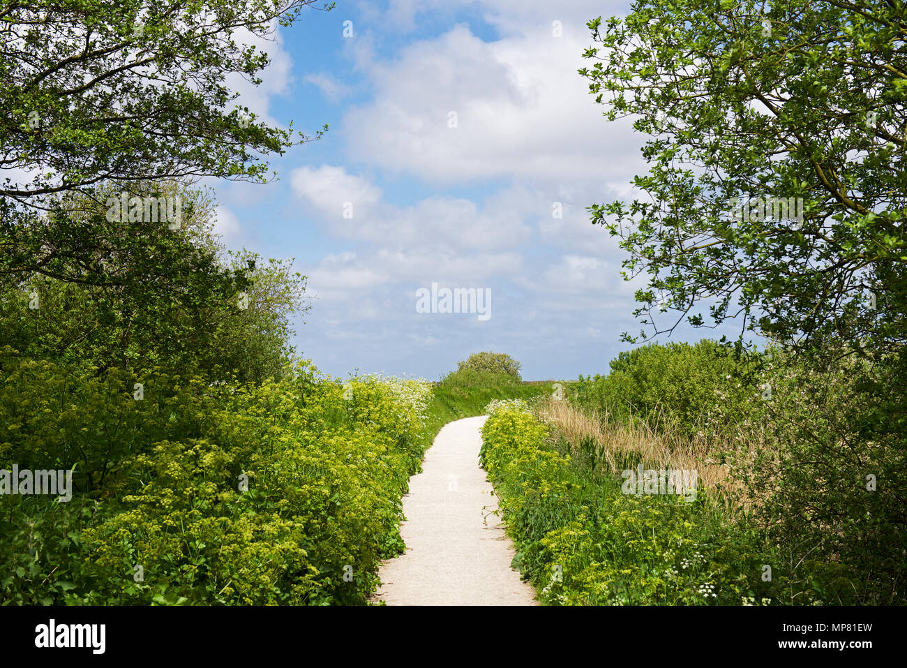 Titchwell, ein RSPB Nature Reserve, North Norfolk, England Großbritannien Stockfoto