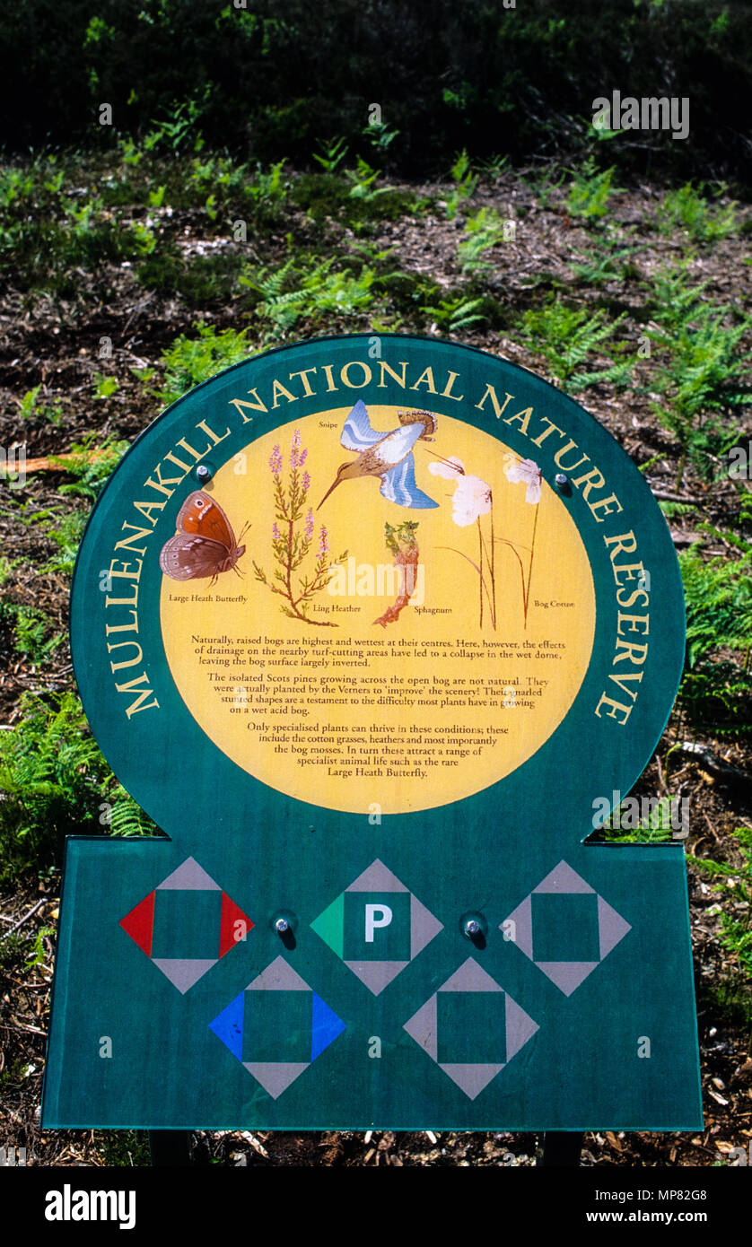 Mullenakill Nature Reserve, Moore Park, 8000 Jahre alte Hochmoor, County Armagh, Nordirland, Großbritannien, GB. Stockfoto