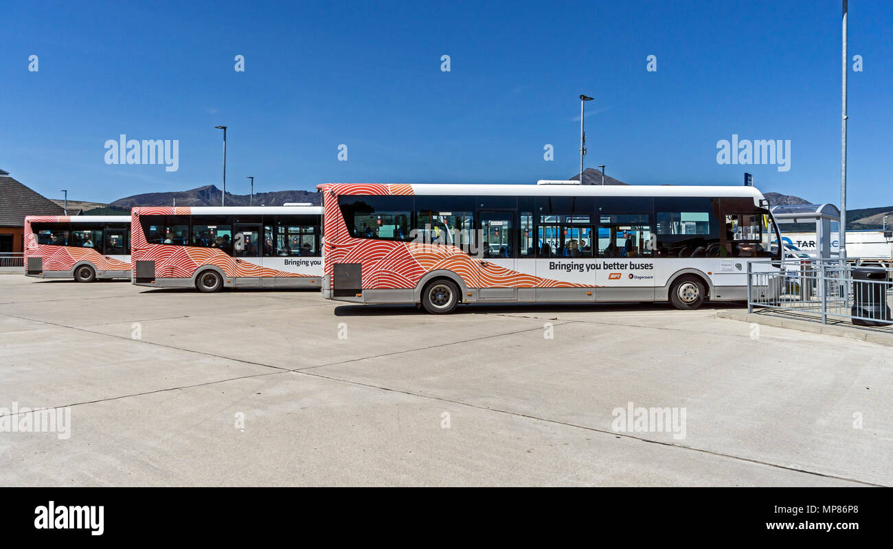 SPT Stagecoach Busse aufgereiht an der New Caledonian MacBrayne Terminal in Brodick Isle of Arran Argyll & Bute Schottland Großbritannien warten auf Passagiere Stockfoto