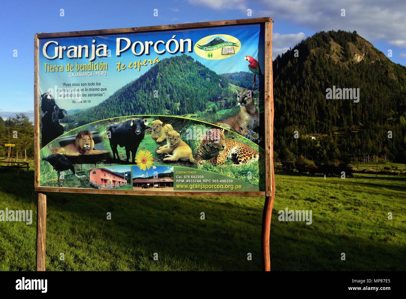 GRANJA PORCON-evangelischen Kooperativen - Departement Cajamarca PERU Stockfoto