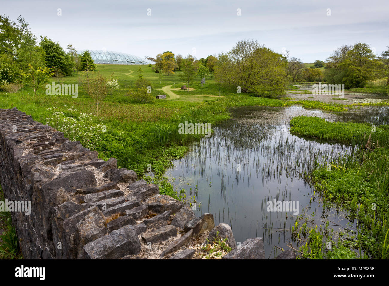 Das grosse Gewächshaus im Botanischen Garten von Wales über einen See aus gesehen Stockfoto