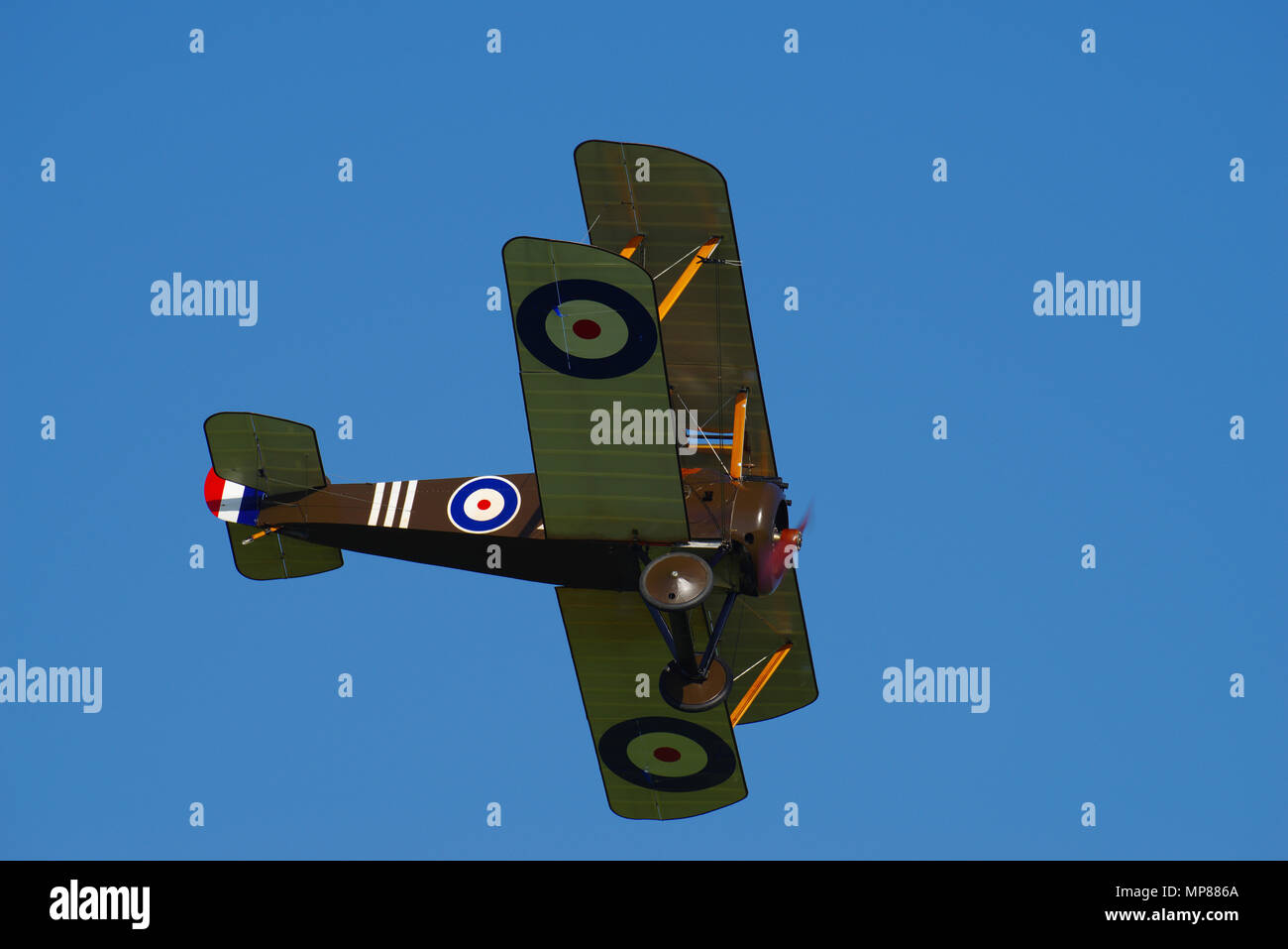 Sopwith Camel Replica D1851, Ikanopit, G-BZSC, AT Old Warden, Shuttleworth Collection, Stockfoto