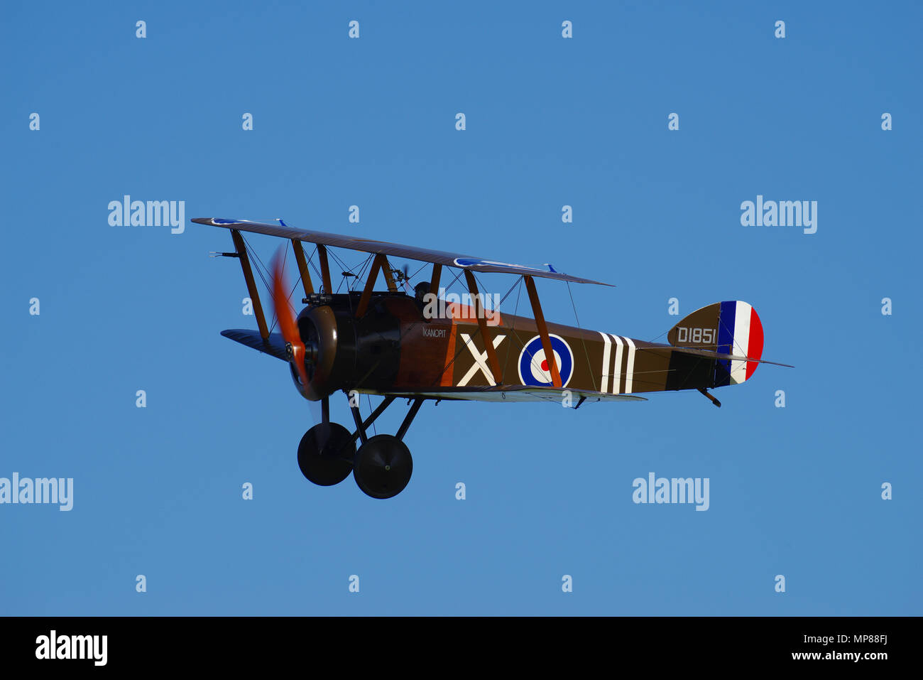 Sopwith Camel Replica D1851, Ikanopit, G-BZSC, AT Old Warden, Shuttleworth Collection, Stockfoto