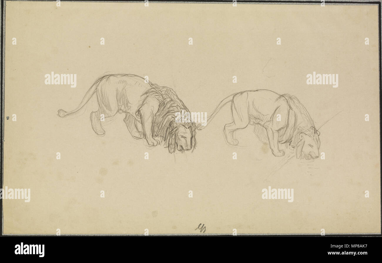 TL.2009.8.4 715 Jean-Léon Gérôme - Studie von Lions - Walters 372789 Stockfoto