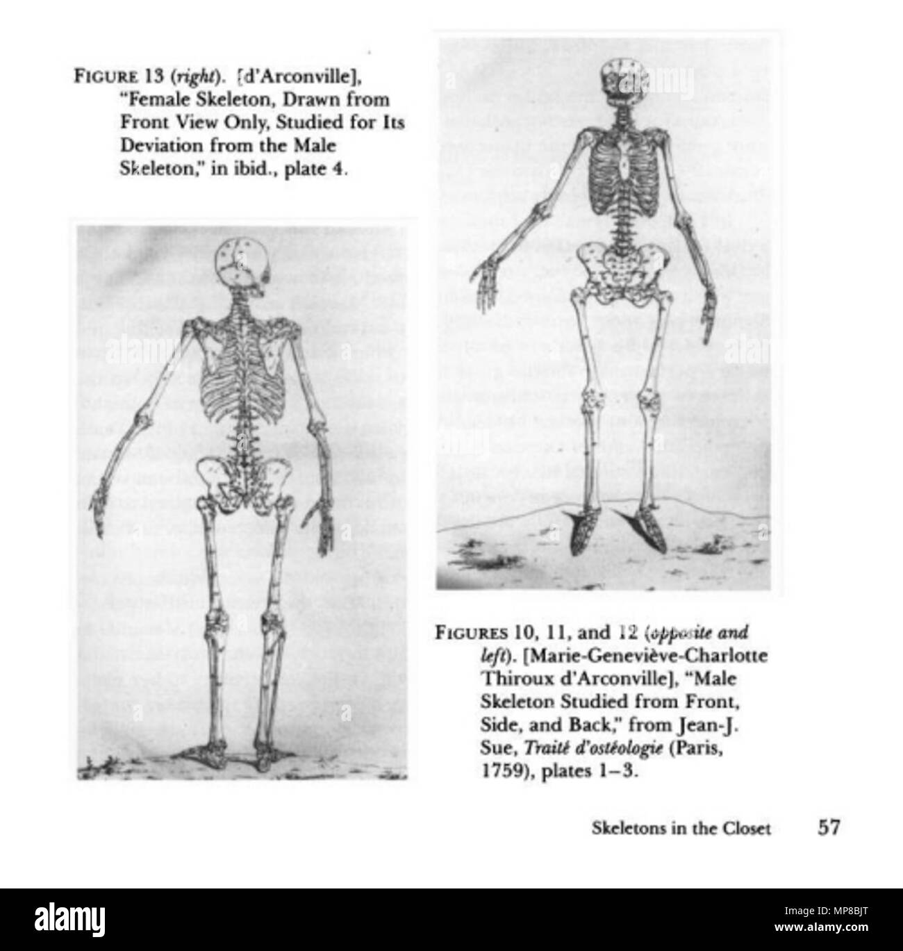 . Englisch: Weibliche Skelett, von vorne gezeichnet, nur für ihre Abweichung von der männlichen Skelett untersucht, und männlichen Skelett von vorne, seitlich und hinten untersucht. 1759. Jean J. Sue gießen Marie-Geneviève - Charlotte Thiroux d'Arsonval 1053 Darstellungen der weiblichen Skelett zeigen unterschiedliche Anteile als die männlichen Skelett Stockfoto