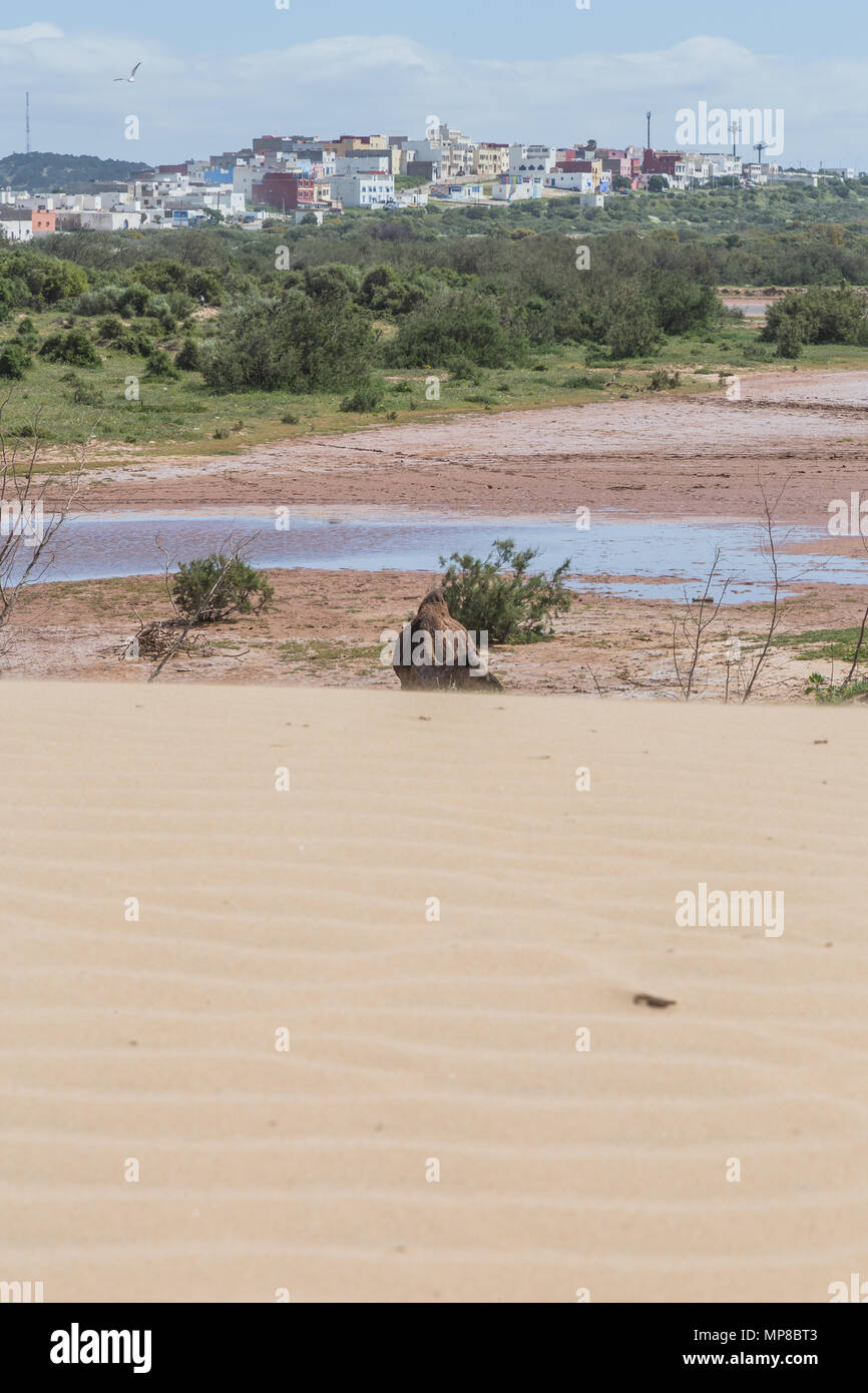 Diabat panorama Fotos und Bildmaterial in hoher Auflösung Alamy
