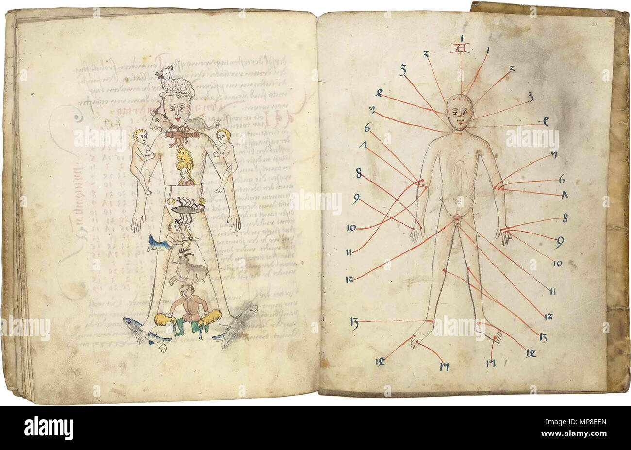. Johannes von Gmunden Kalender, [Nürnberg], 1496. 1496. Johannes von