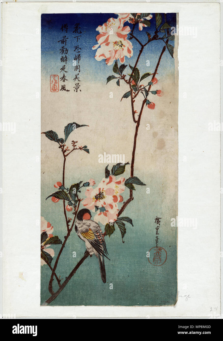 Kaido ni Shokin (Kleiner Vogel auf einem Zweig von Kaidozakura) ca. 1833 - 1838. 755 Kaido ni 3 shokin Stockfoto