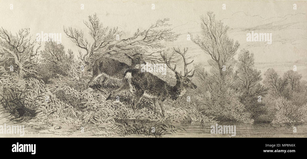 Karl Bodmer (Deutsch, 1809-1893). Der Tag im Wald", 1809-1893. Bleistift auf Papier. Walters Art Museum (37.2613): Geschenk des Herrn Alan Berry, Franklin, TE Dezember, 1983. 37.2613 758 Karl Bodmer - Hirsch im Wald - Walters 372613 Stockfoto