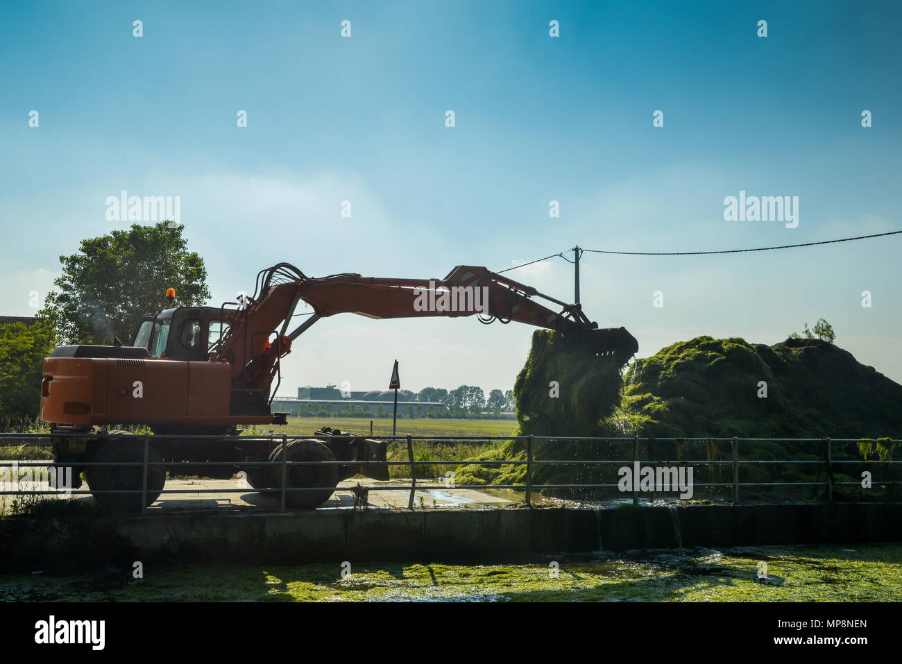 Ein Bagger Kran entfernt Schmutz und Algen aus dem Kanal Naviglio Pavese an einem sonnigen Tag Stockfoto