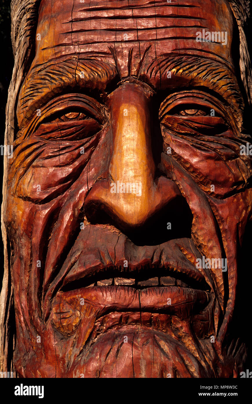 Chief Kno-Tah Native American Skulptur, Künstler Peter Toth Stockfoto
