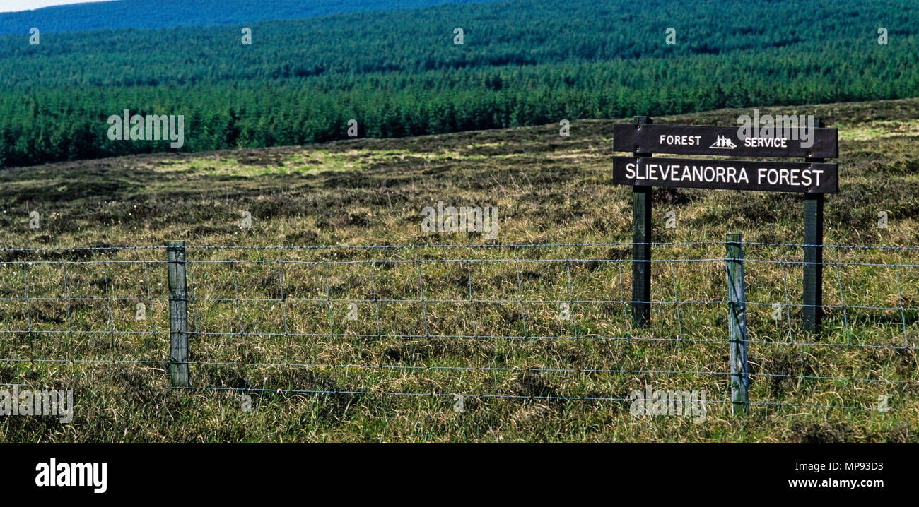 Slieveanorra Moor (Wald Naturschutzgebiet), Ballymena, Nordirland, Großbritannien, GB. Stockfoto